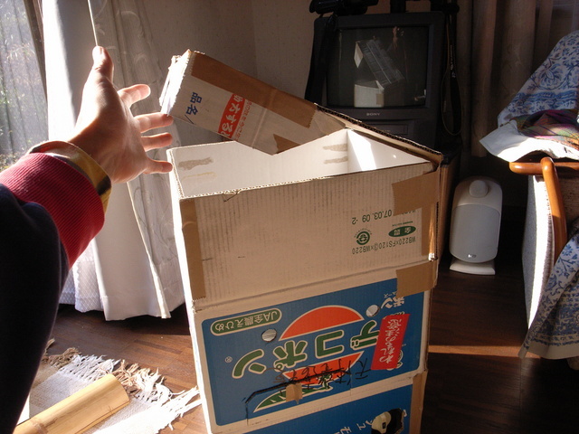 2010.01.03.r0019725.jpg