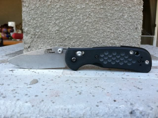 wilkins1.jpg