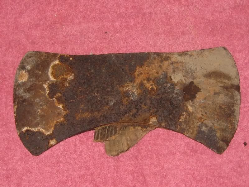 mgd1784.jpg