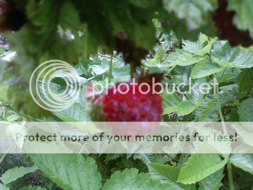 img1246601495744.jpg