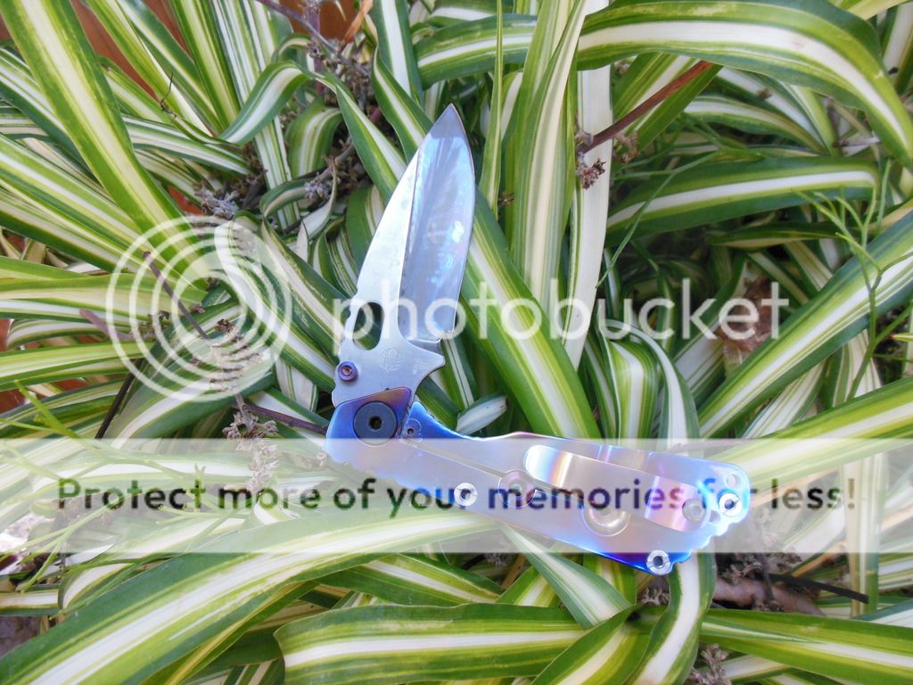DSCN2271_zpsx9kgtpdz.jpg