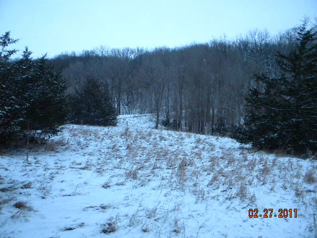DSCN3412.jpg