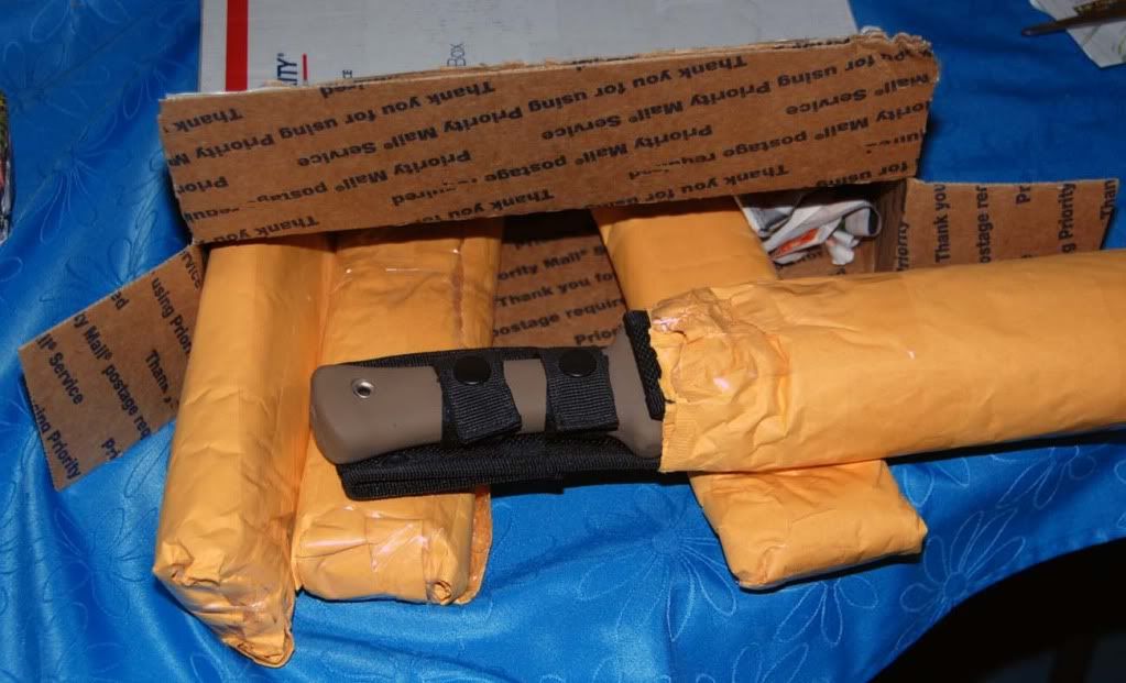 NewDelivery3.jpg