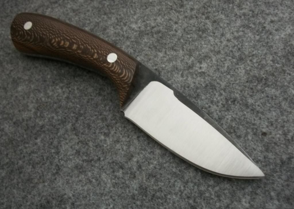 CAMPY121.jpg