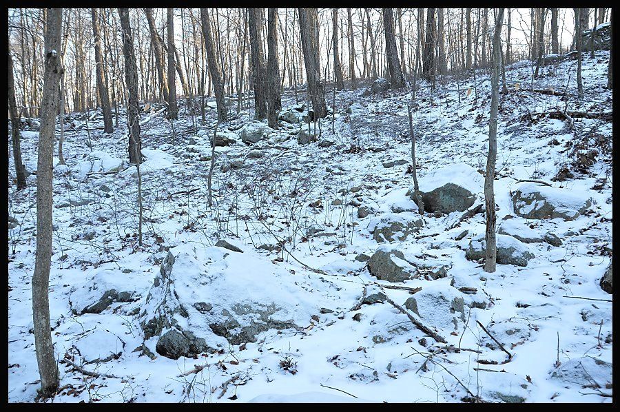 050_024_zpse5c77876.jpg