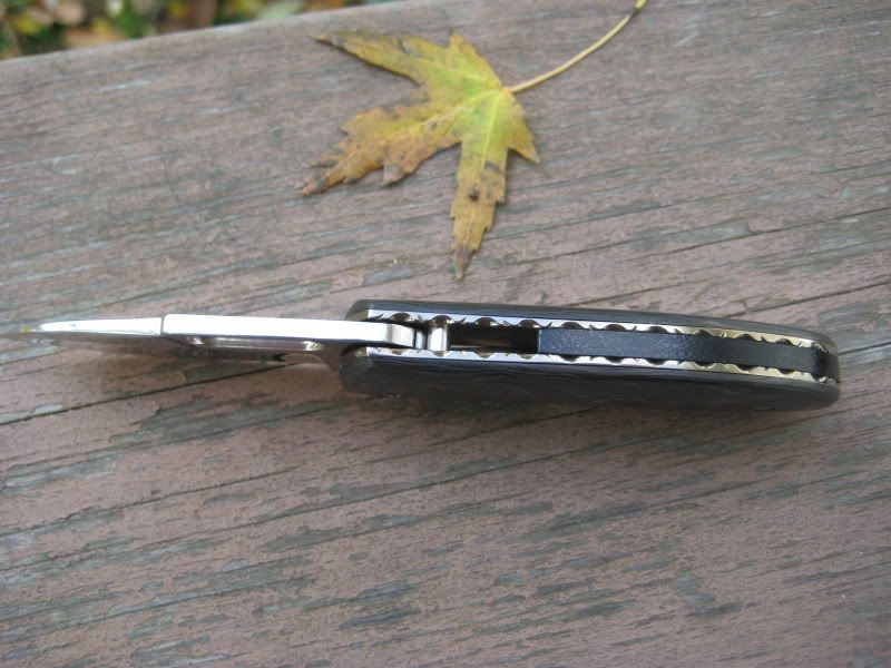 oct29005.jpg