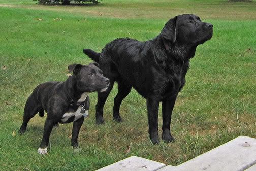 bud_and_noah.jpg