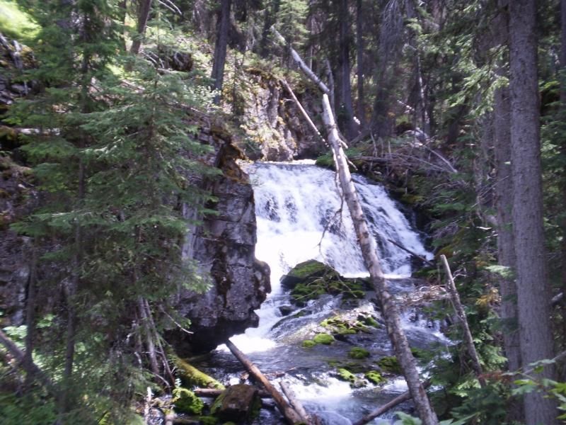 fallsfork_zps4b645e8a.jpg