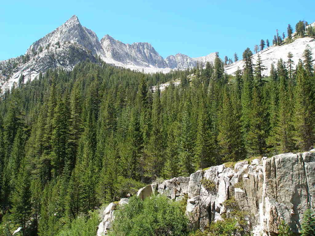 KingsCanyon2008711.jpg