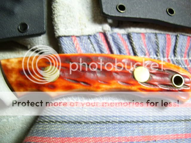 100_1191.jpg