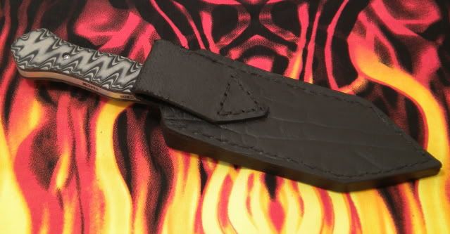 gladiussheath2.jpg