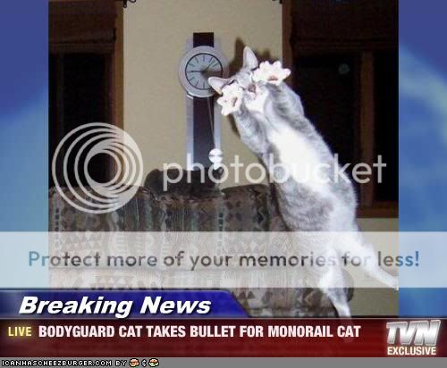 Bodyguardcat.jpg