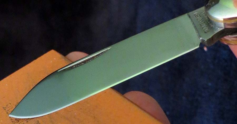 sharp8.jpg