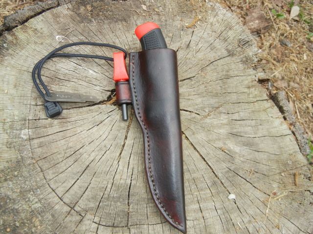 DSCN3646.jpg