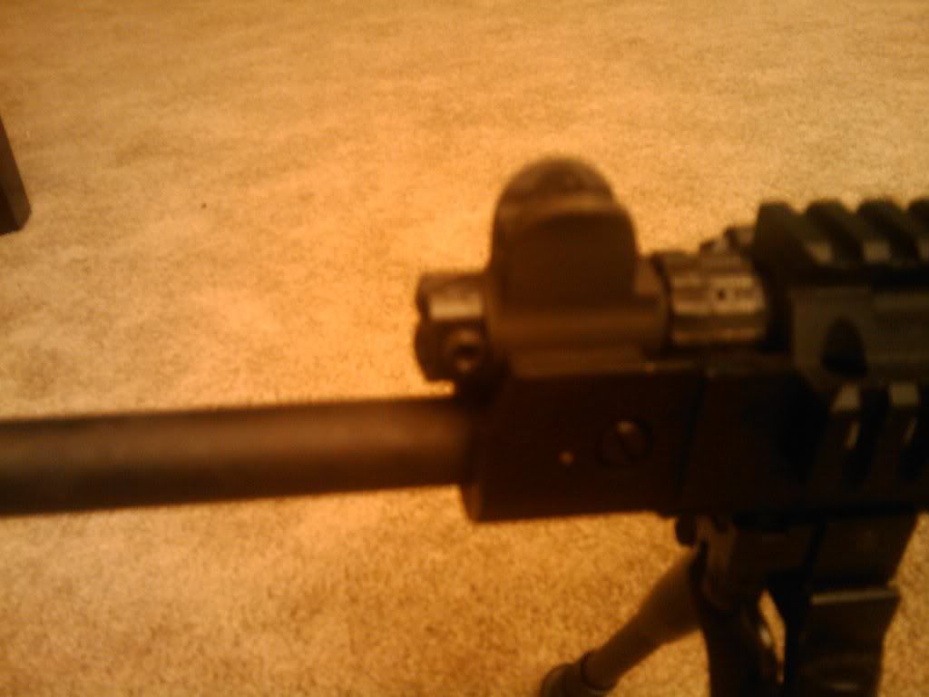 fal040.jpg