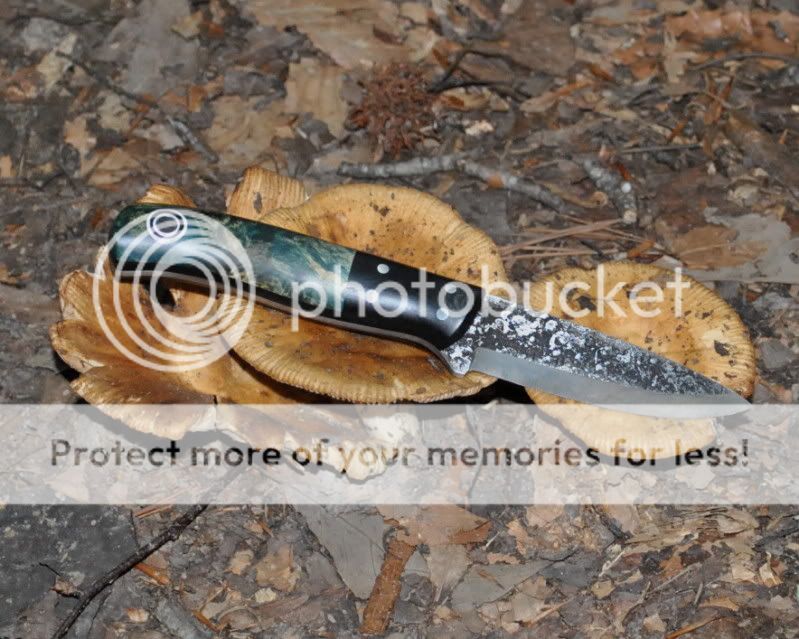 DSC_4674.jpg