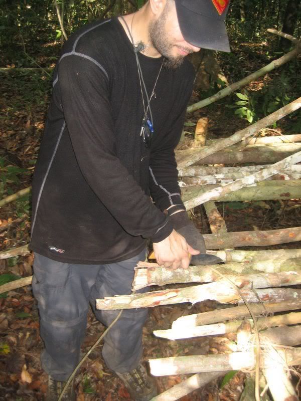 JungleDay2099.jpg