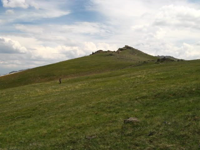 IMG_5715.jpg