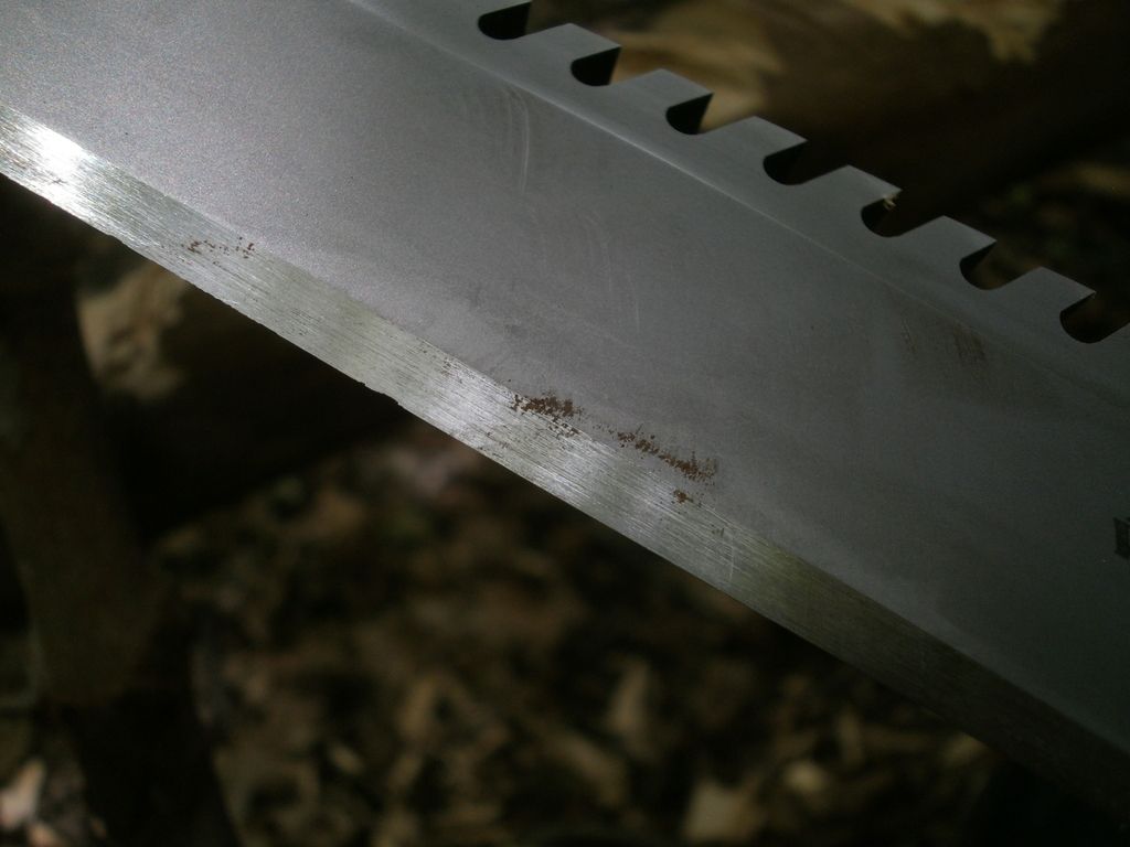 P8066258_zpsv8uzfflg.jpg