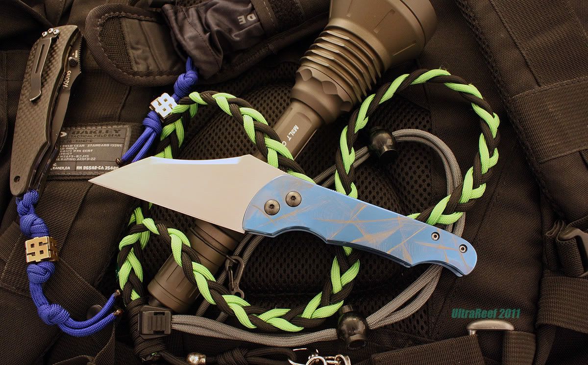 blue_large_frick6c.jpg