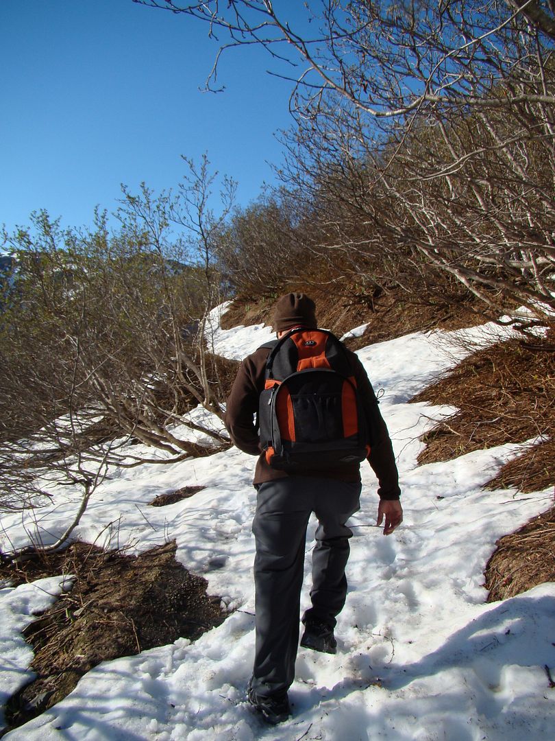 Juneau071.jpg