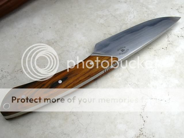 IMGP0920.jpg
