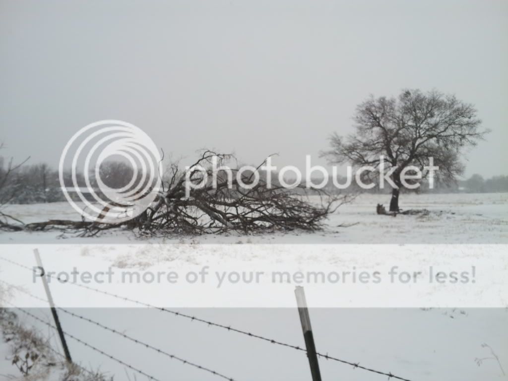 20121225_164714.jpg
