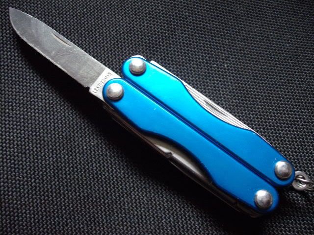 DSCF0870.jpg