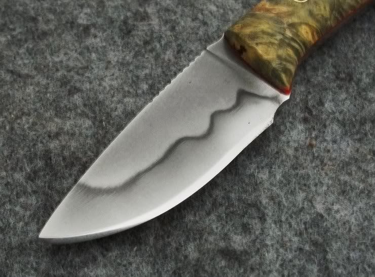 ELDER025.jpg