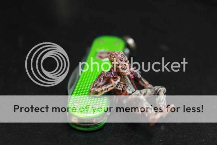 IMG_7212_zps20fa036c.jpg