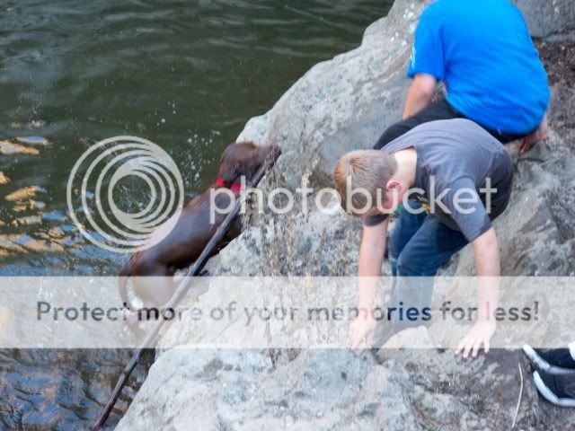 100_0721.jpg
