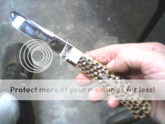gec3.jpg