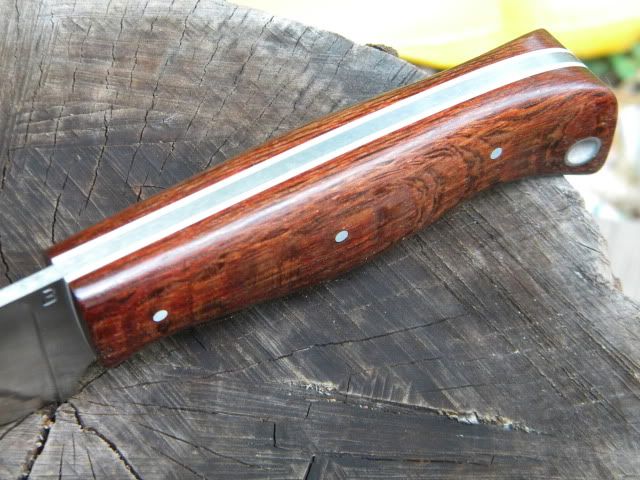 DSCN1662.jpg