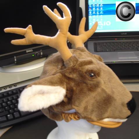 deerhatx1.jpg