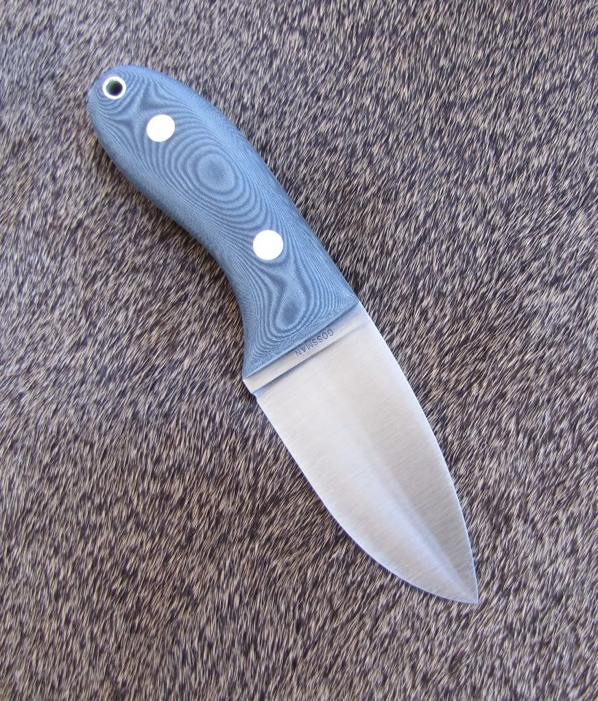 skinner1.jpg