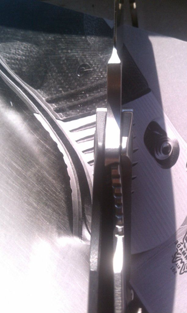 IMAG0806.jpg