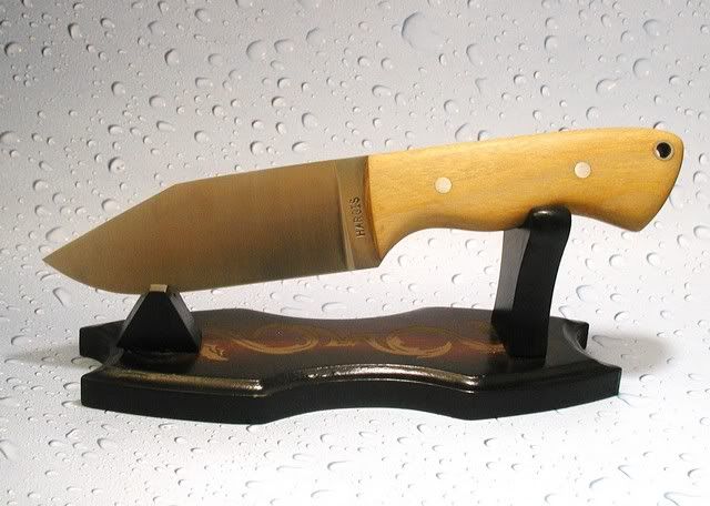 Image00009.jpg