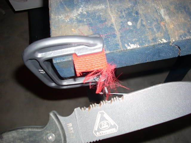 DSCN1309.jpg