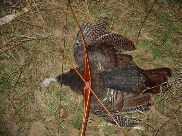 1stLongbowturkey.jpg