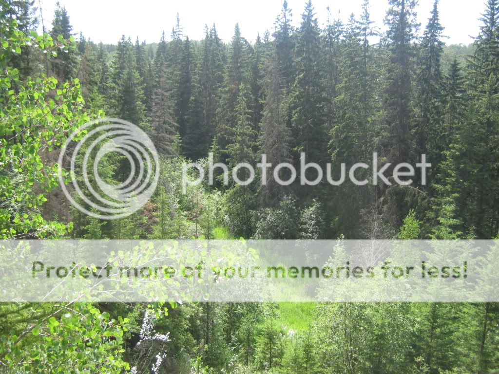 IMG_7916.jpg
