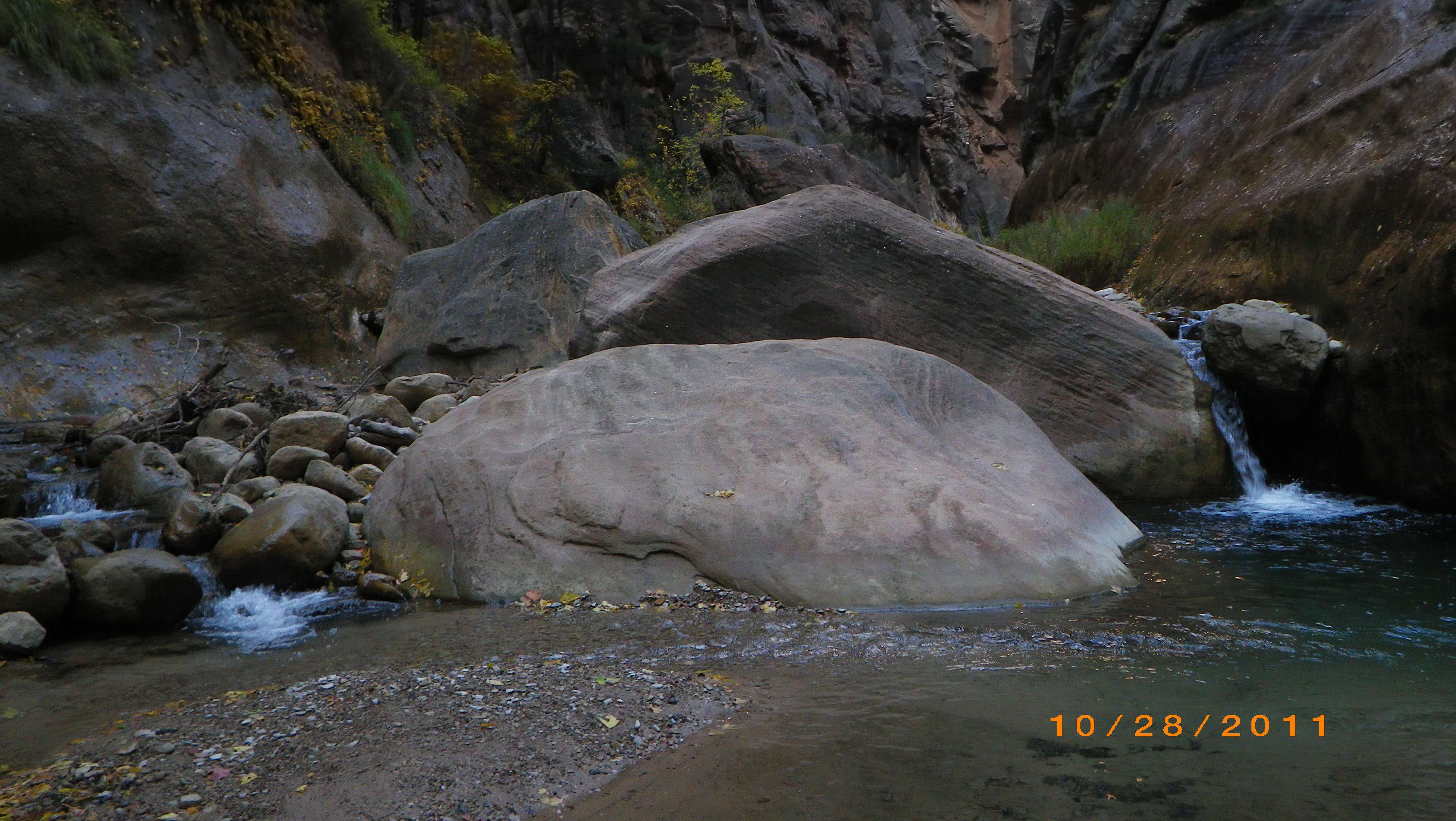 imgp4421.jpg