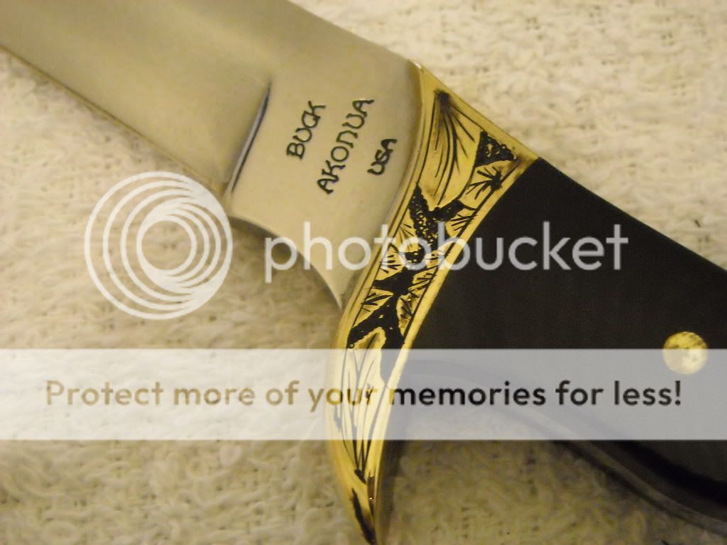 DSCN0597.jpg