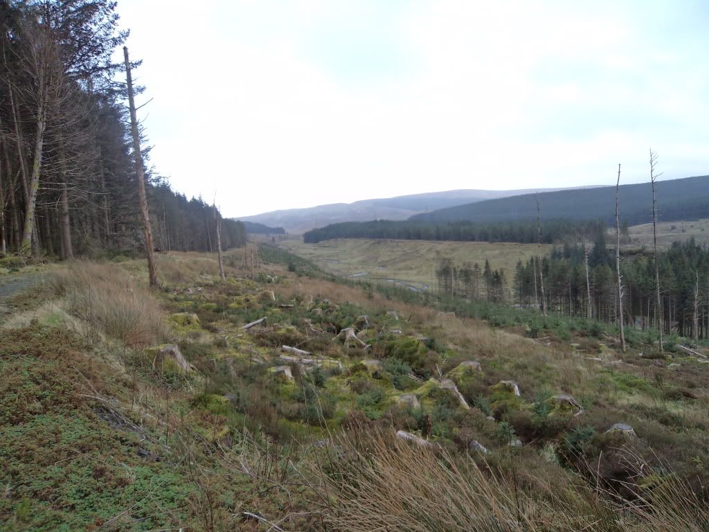 DSC00278.jpg