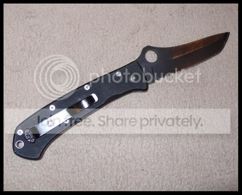 LUMBack.jpg