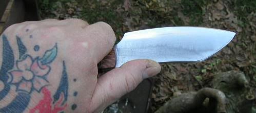 ser561c.jpg