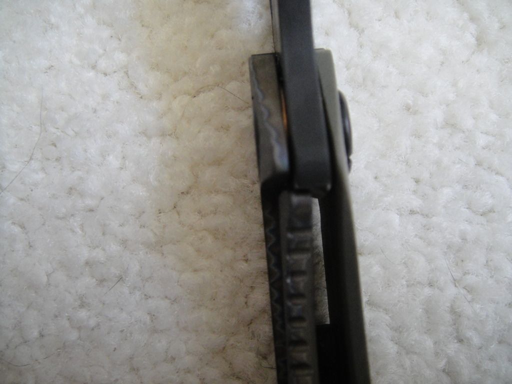 DSC06202.jpg