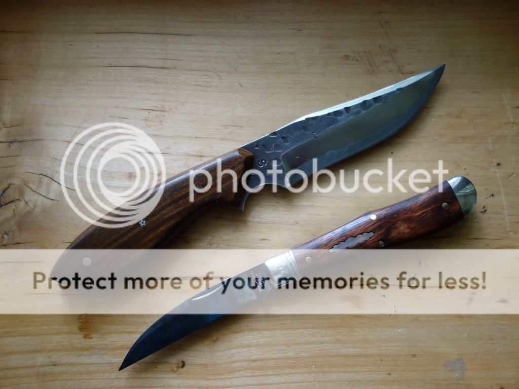 Talon_02_small_zpsdacsfuxu.jpg