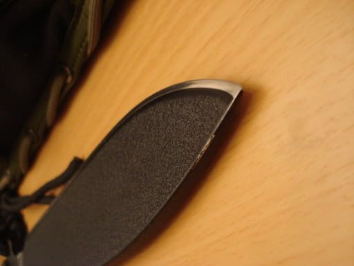 busse4.jpg