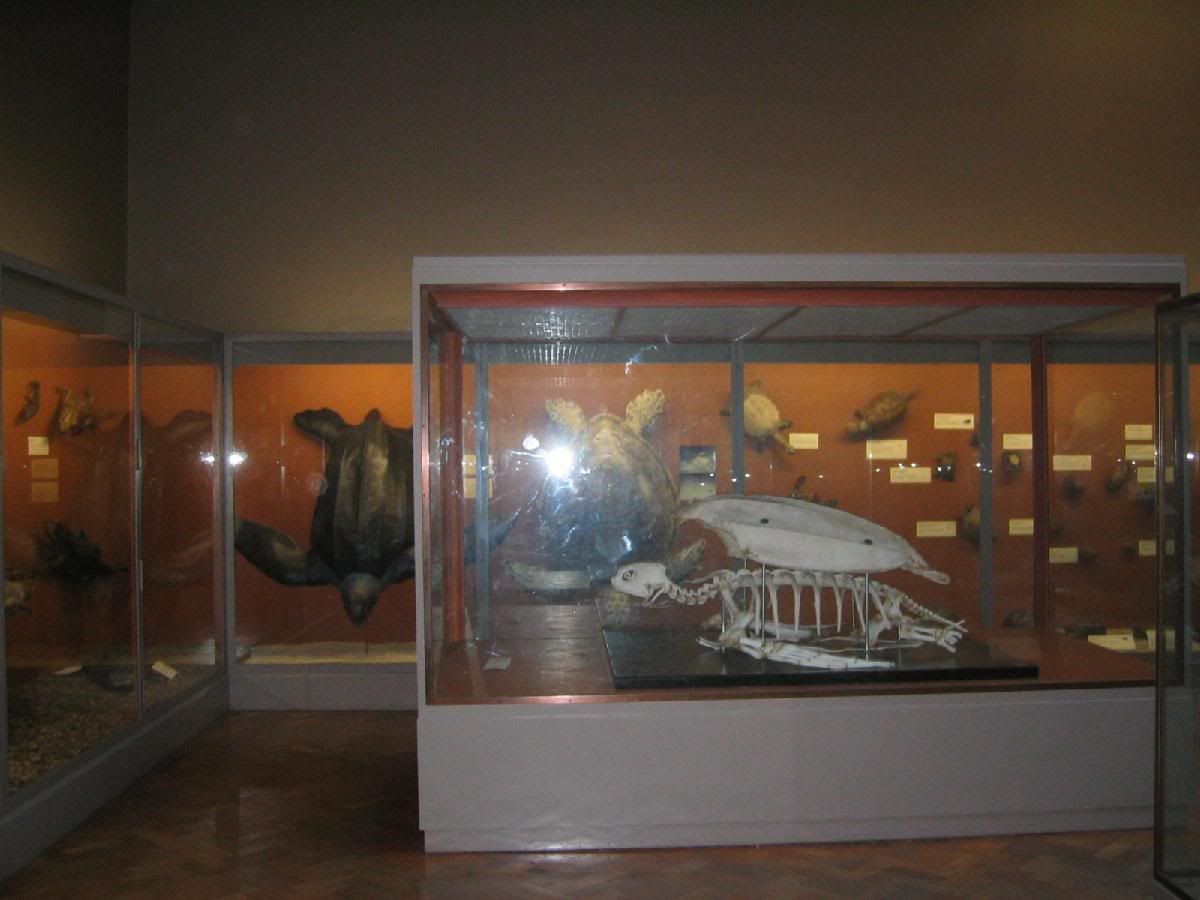 100_0007.jpg