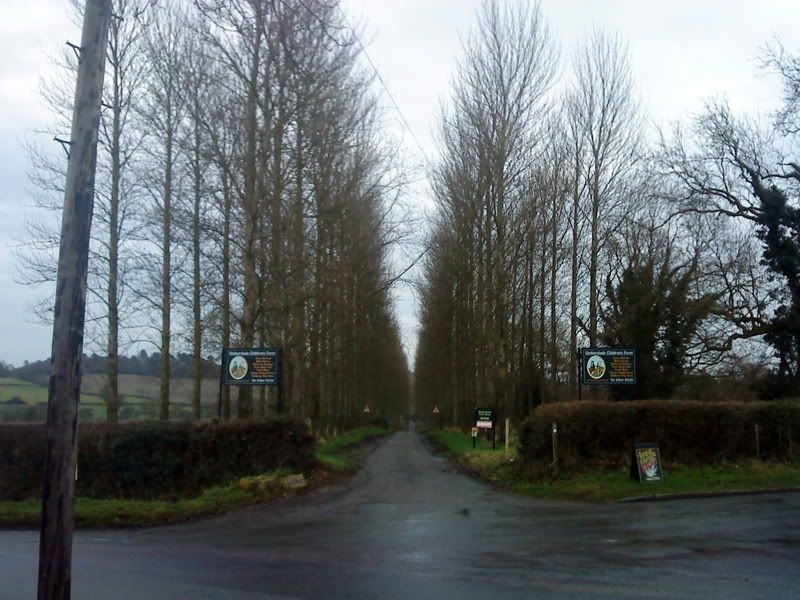 DSC00046.jpg